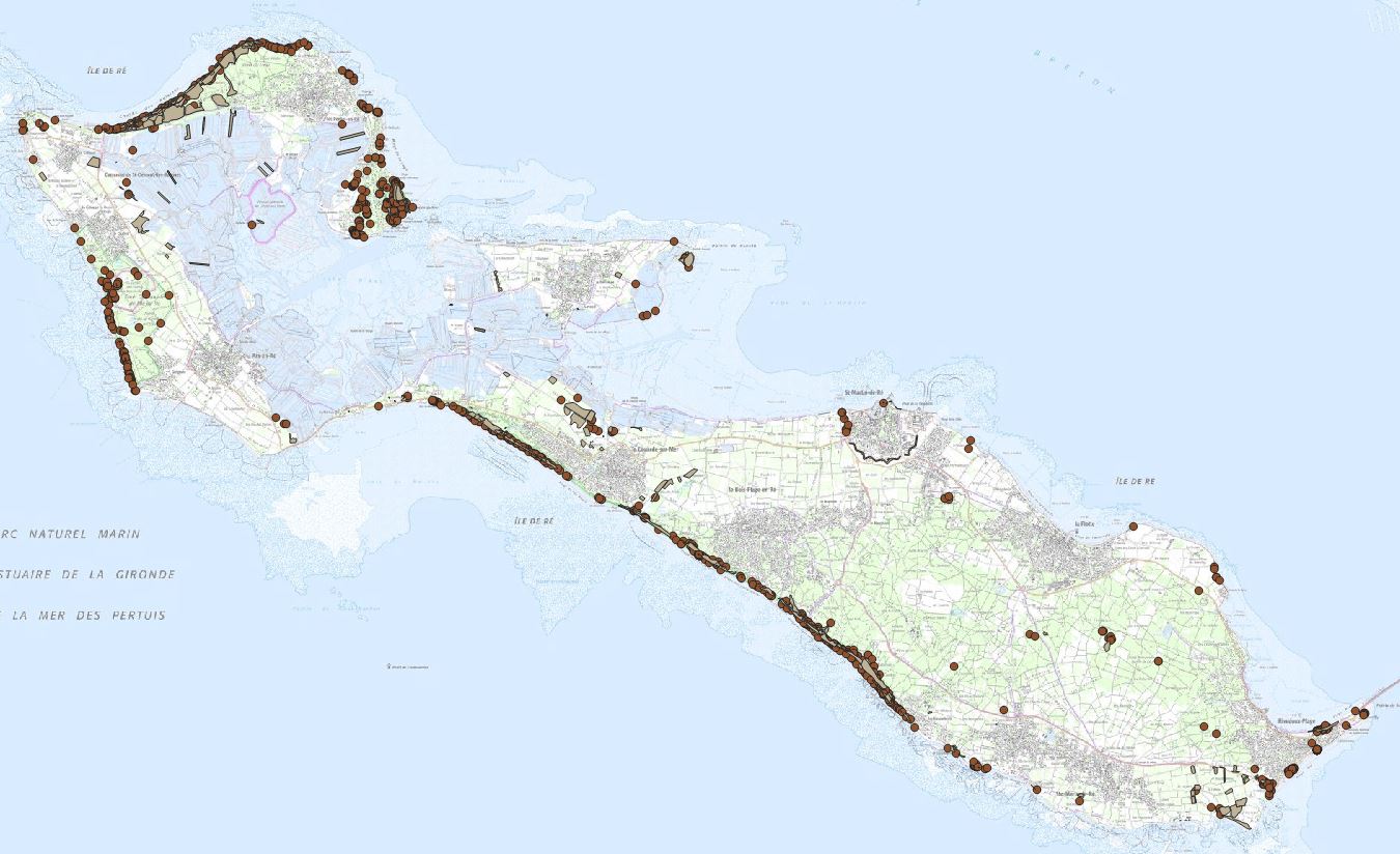 Flore protégée de l'île de Ré - 2014