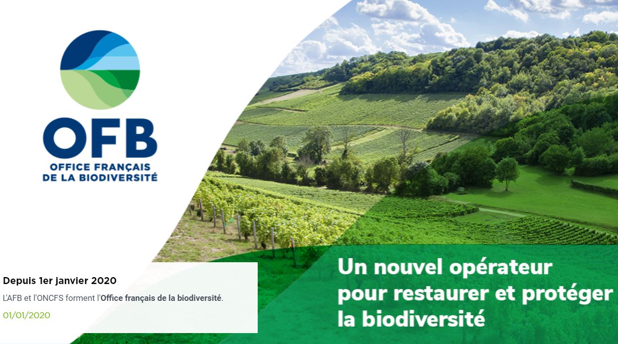Création de l'Office français de la biodiversité - Coordination nationale des CBN