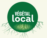 Lettre d'information Végétal local - Octobre 2020