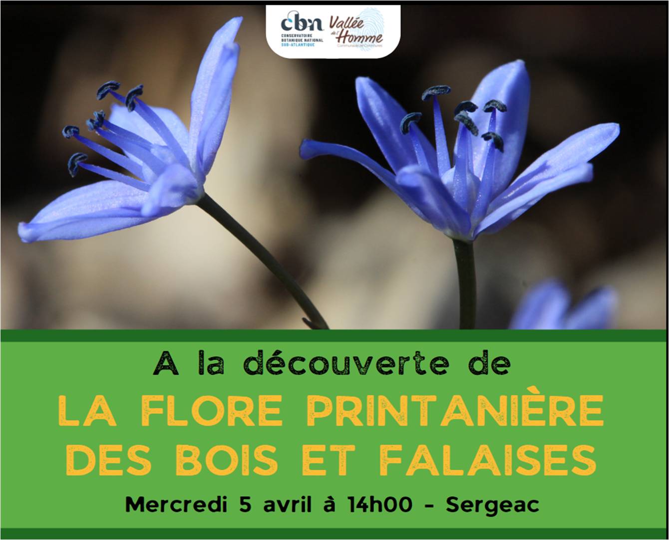 Sortie botanique à Sergeac (Dordogne) le mercredi 5 avril à 14h
