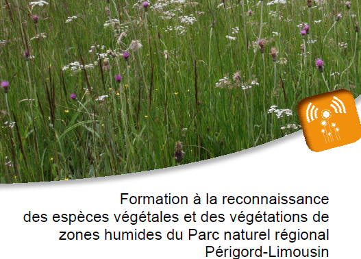 Compte-rendu des formations à la reconnaissance des zones humides du PNR Périgord-Limousin