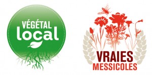 Rapport d'activités 2016 "Végétal local" & "Vraies messicoles"