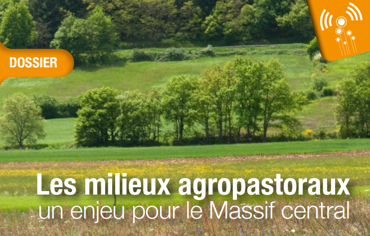Dossier "Les milieux agropastoraux, un enjeu pour le Massif central"