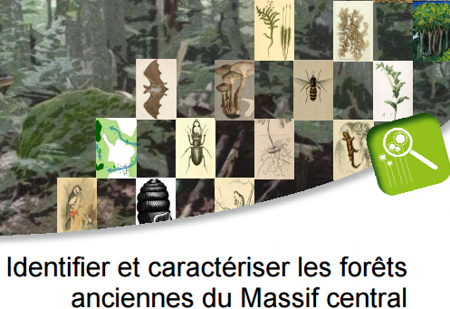 Identifier et caractériser les forêts anciennes du Massif central