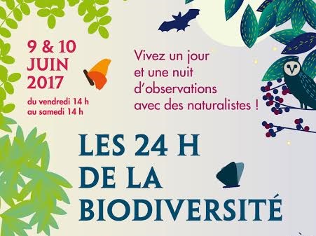 Les 24 h de la biodiversité dans les Pyrénées-Atlantiques les 9-10 juin 2017