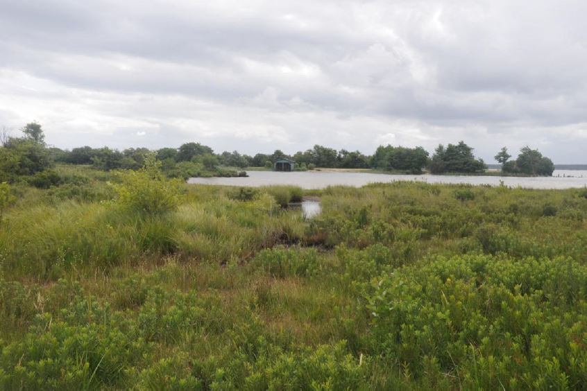 Stage 2018 - Evaluation de l'état de conservation des habitats des étangs arrière-littoraux d'Aquitaine