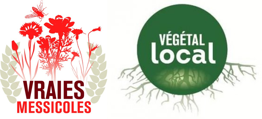 Formations "Production de végétaux sauvages d'origine locale" en 2018