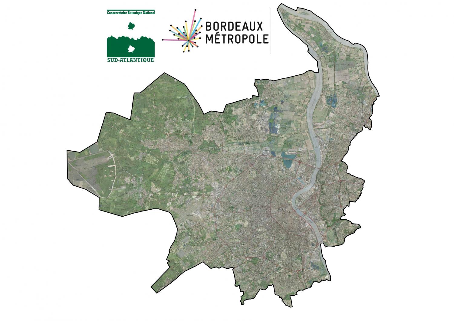 Cartographie des habitats naturels et des enjeux de biodiversité végétale de Bordeaux Métropole - Actualités