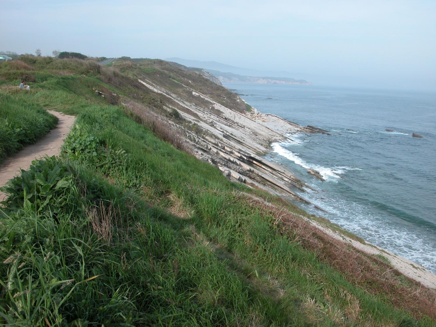 Observatoire de la flore du littoral basque - Restitution des travaux menés en 2017
