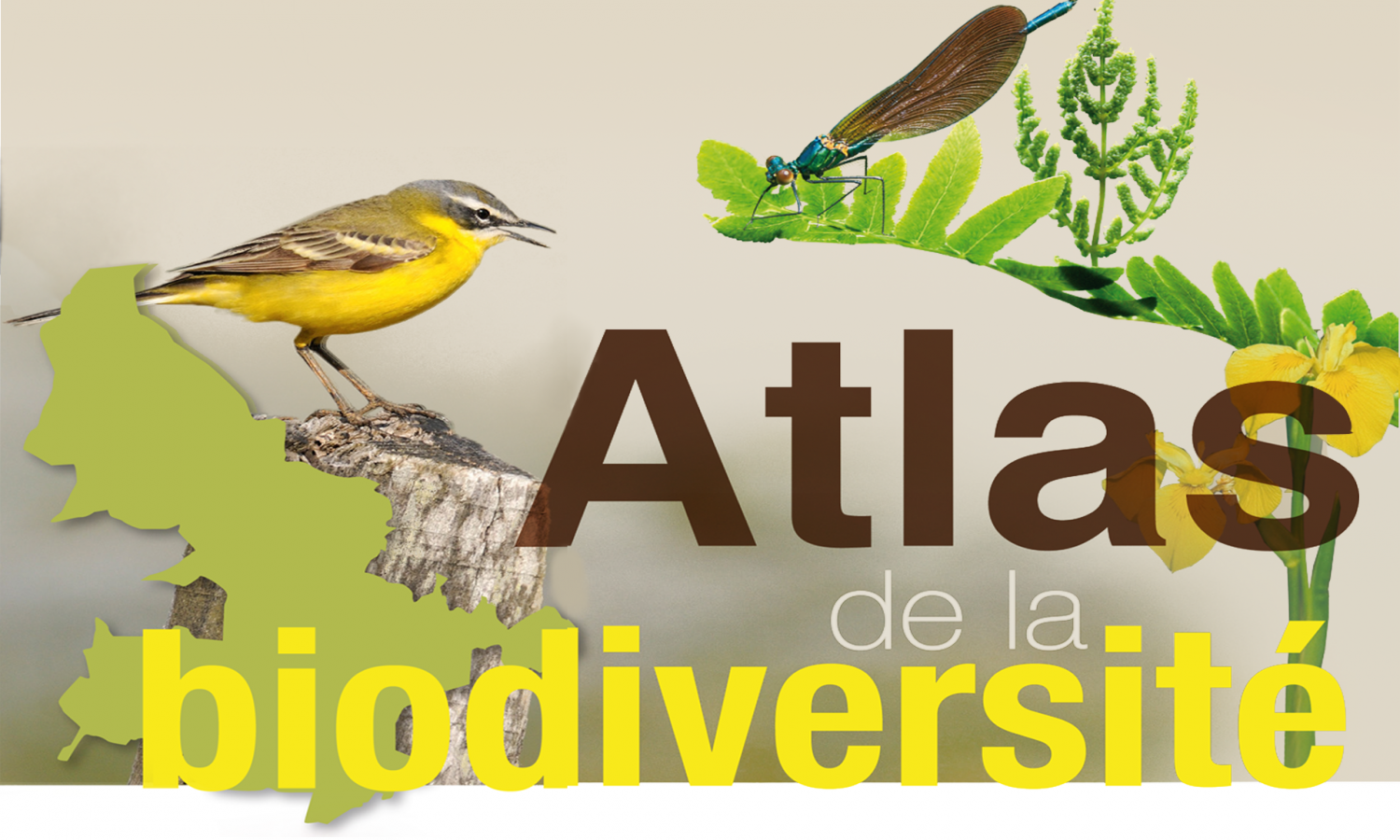 Présentation des Atlas communaux de la biodiversité du PNRLG à Hostens le 27 avril