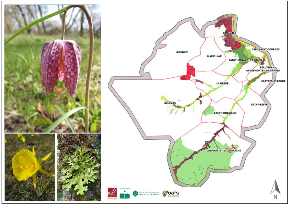 Atlas de la biodiversité de la Communauté de Communes de Montesquieu - Comité technique le 14 février 2019