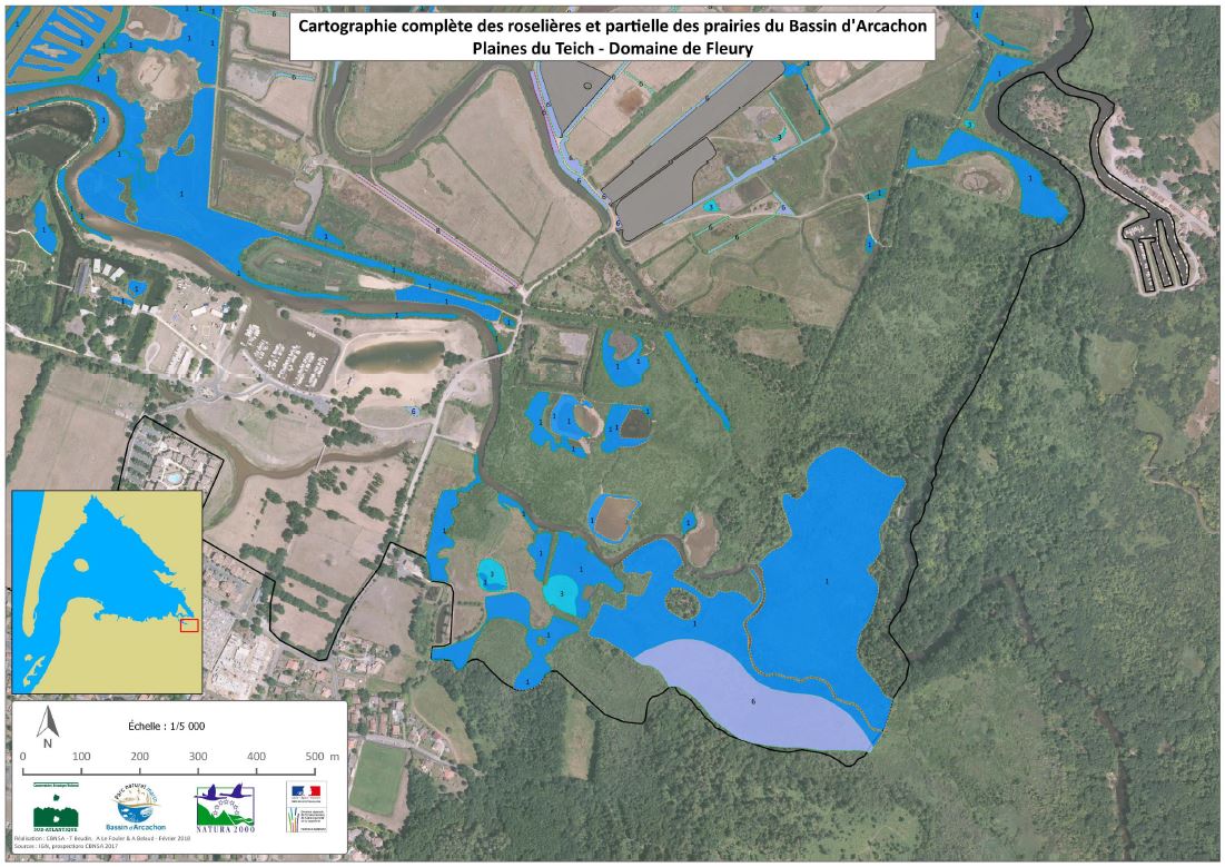 Cartographie de la biodiversité végétale du Bassin d'Arcachon - Comité technique le 20 mars 2019
