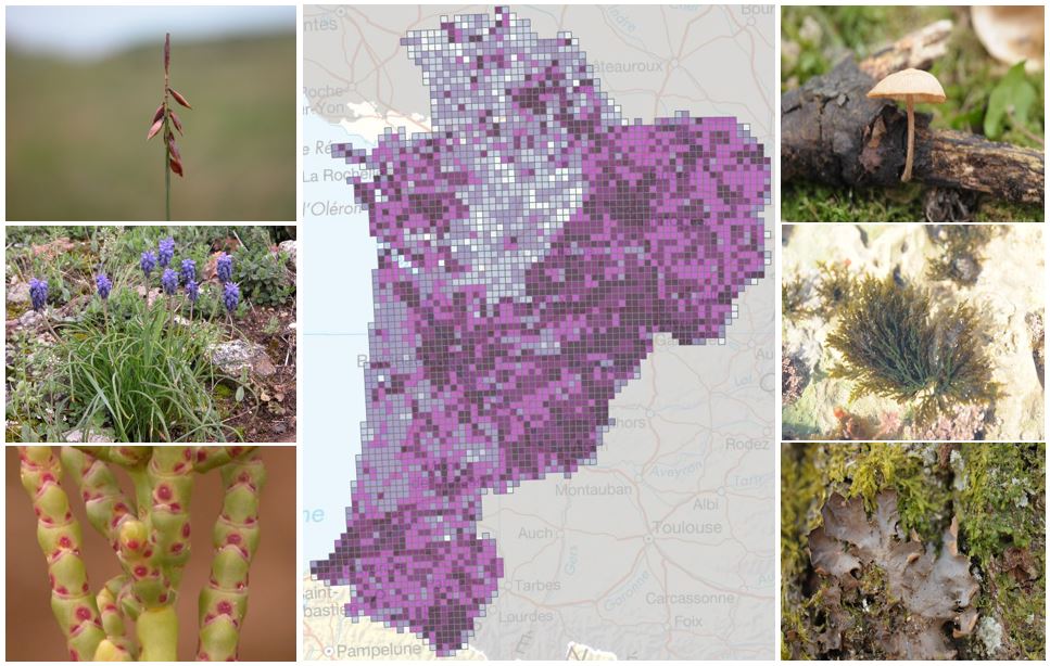 Identification des lacunes de connaissance sur la biodiversité en Nouvelle-Aquitaine