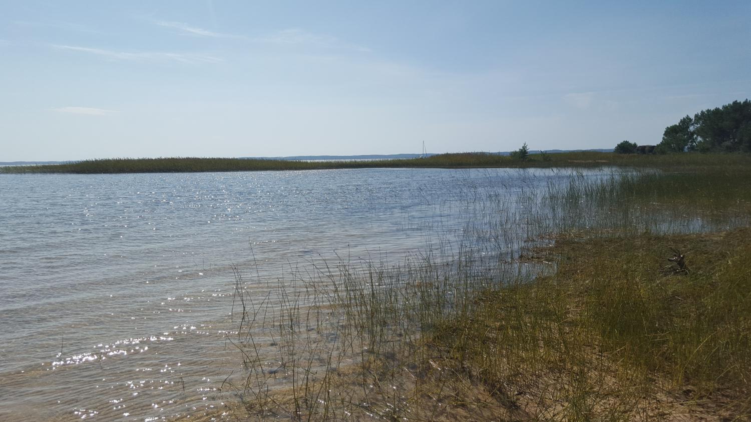 ENQUÊTE - quelles actions en faveur de l'Isoètes de Bory et des végétations des bords d’étangs arrière-littoraux ?