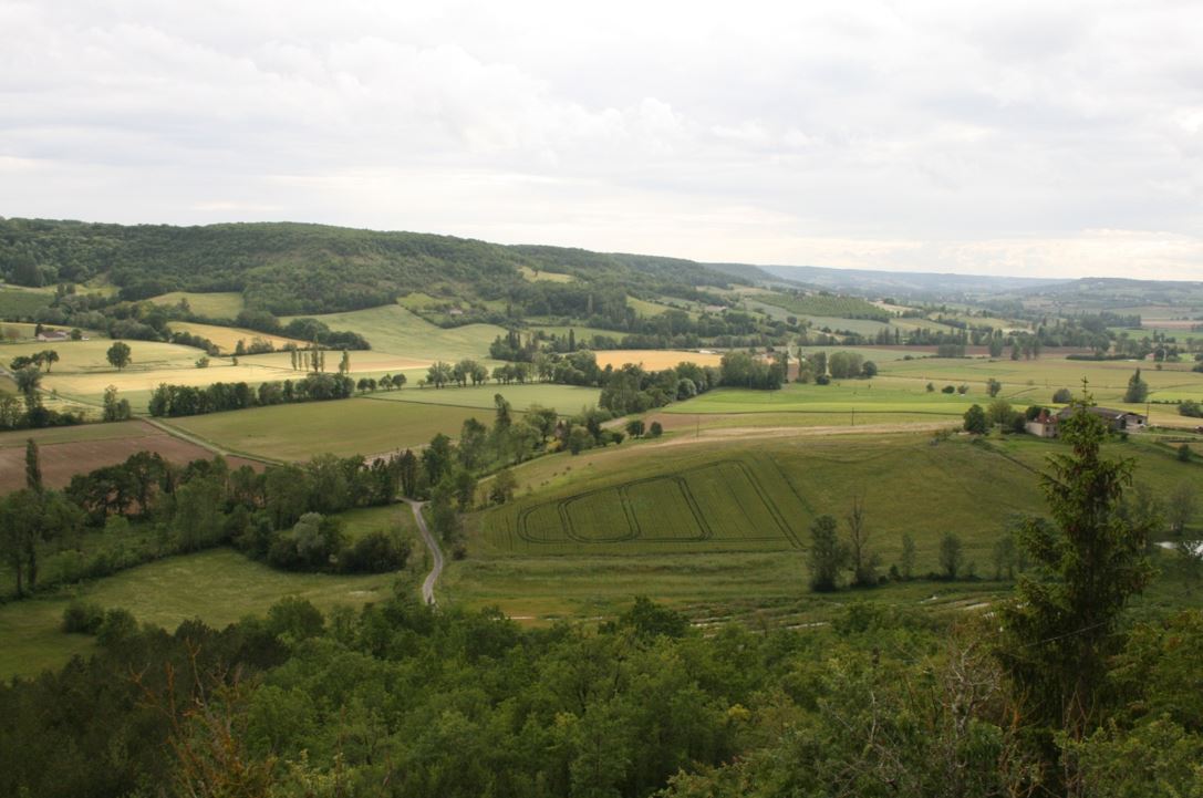Typologie des végétations et habitats naturels du Boudouyssou (Lot-et-Garonne)