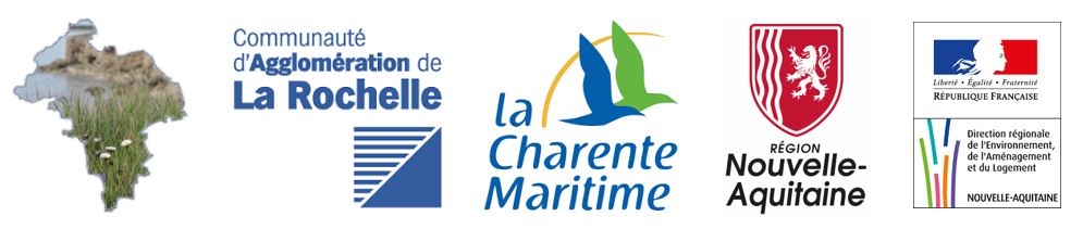 bandeau logo La Rochelle
