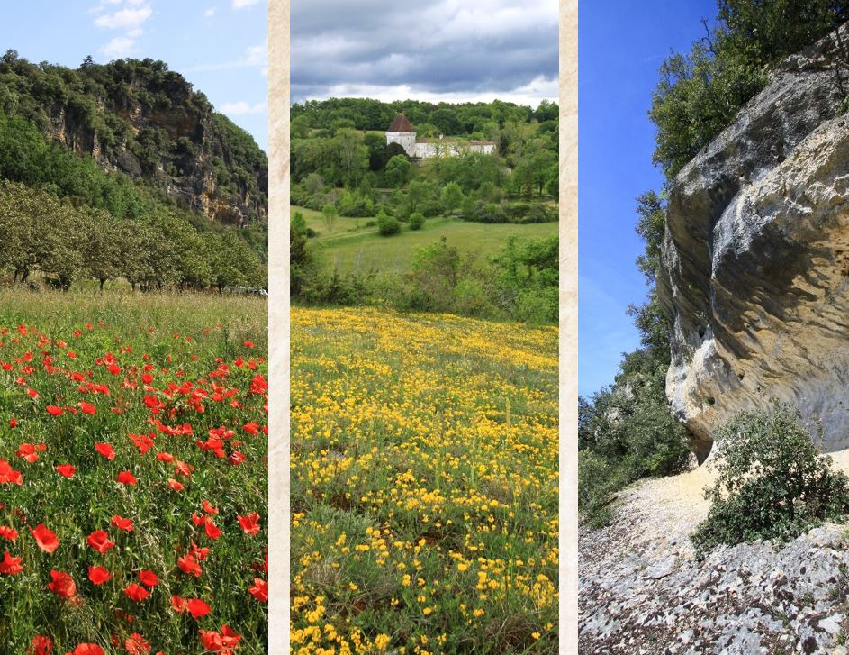 Inventaire de la flore sauvage de Dordogne - Bilan des travaux menés entre 2015 et 2019