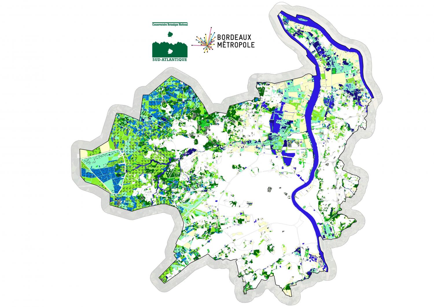 Cartographie et spatialisation des enjeux de biodiversité végétale de Bordeaux Métropole : résultats finaux
