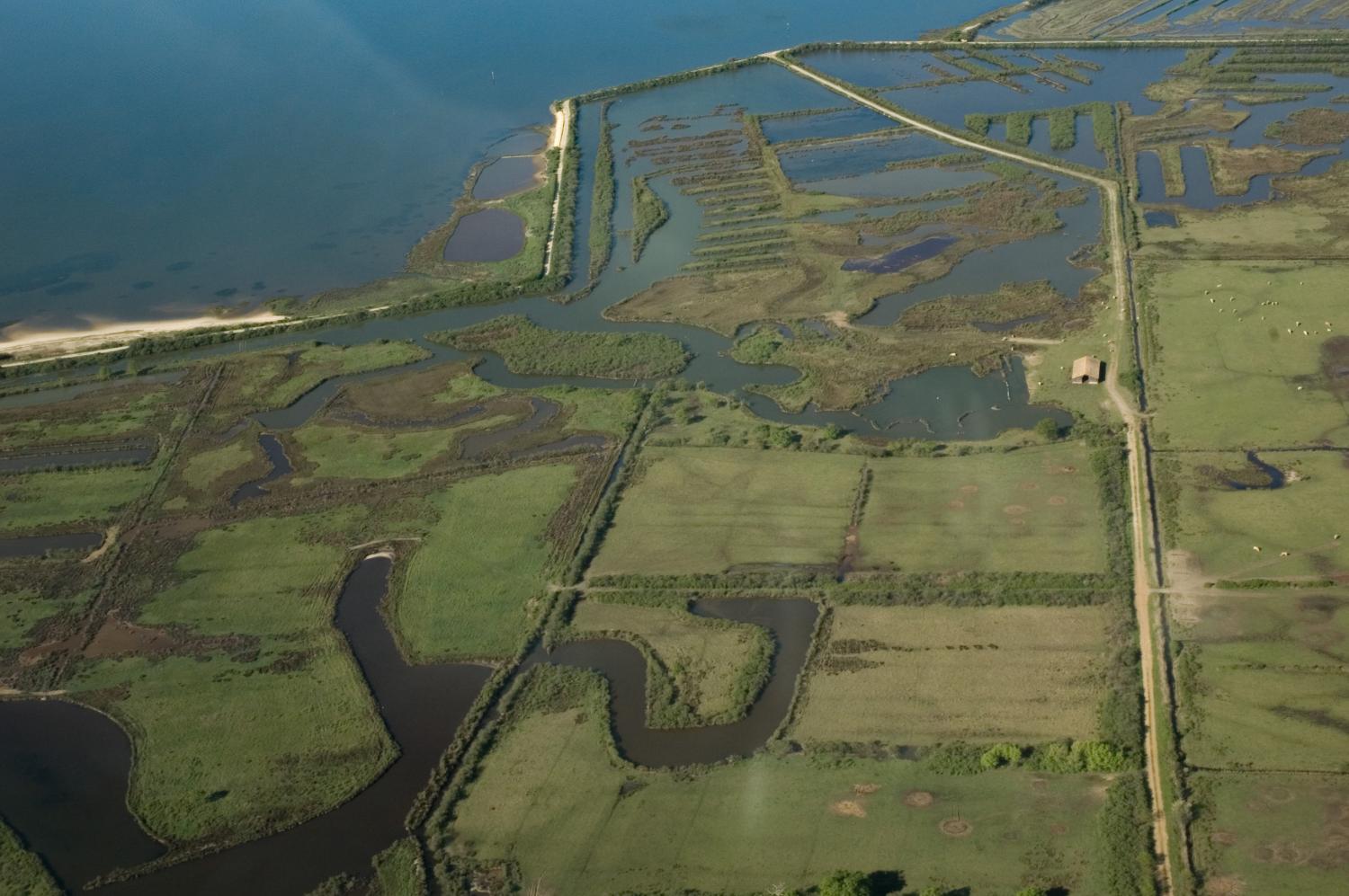 Formation "Flore et habitats du Bassin d'Arcachon : les domaines endigués" le 23 juin 2021