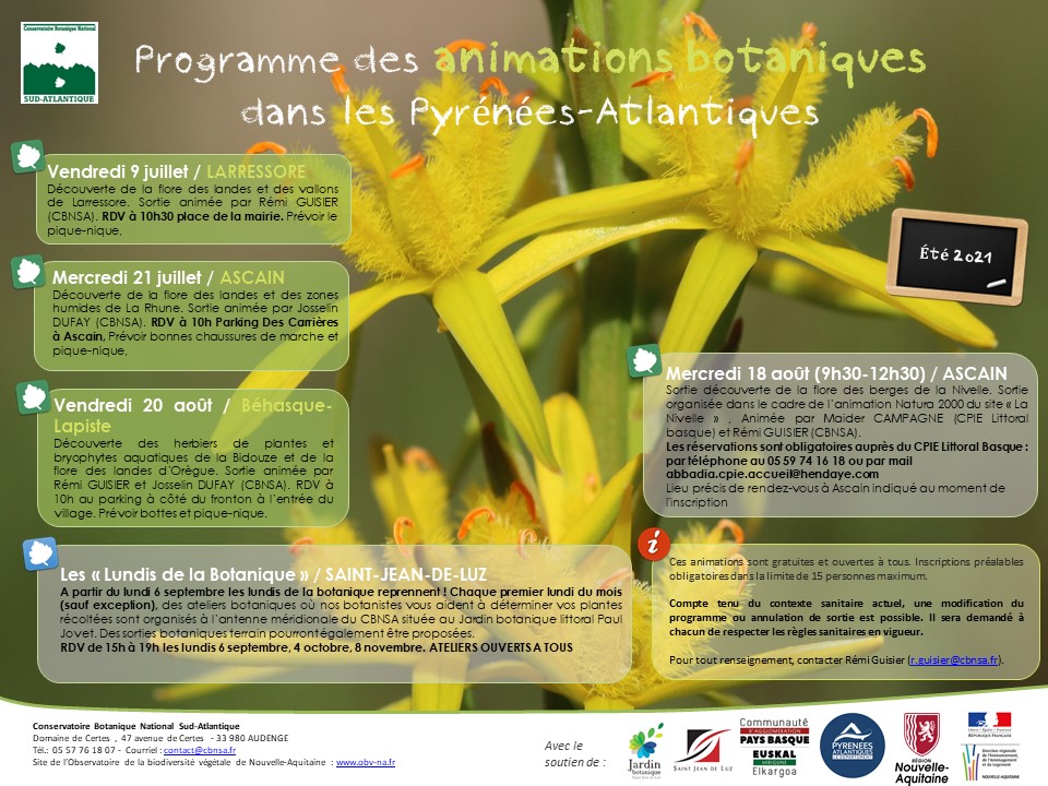 Programme des animations botaniques dans les Pyrénées-Atlantiques - Eté 2021