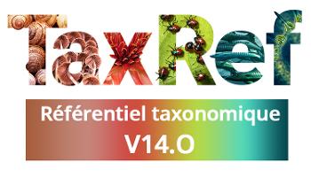 Mise à jour du référentiel taxonomique de l'OBV : passage à la version 14 de TAXREF