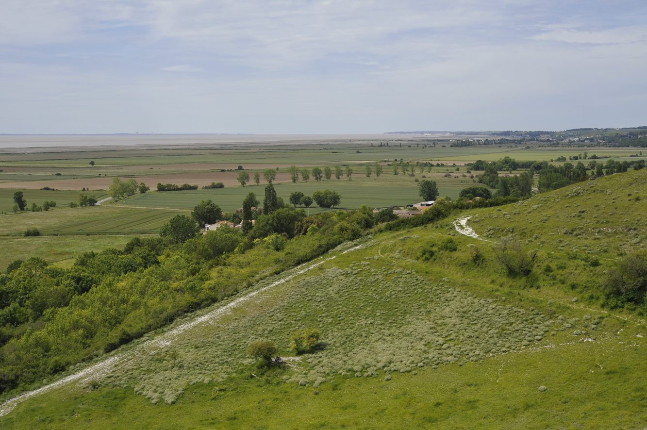 Stage 2022 - Evaluation et suivi de l'état de conservation des prairies naturelles de Nouvelle-Aquitaine