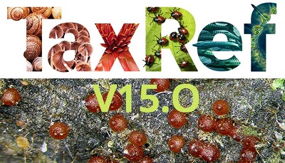 Logo-TaxRef15.jpg
