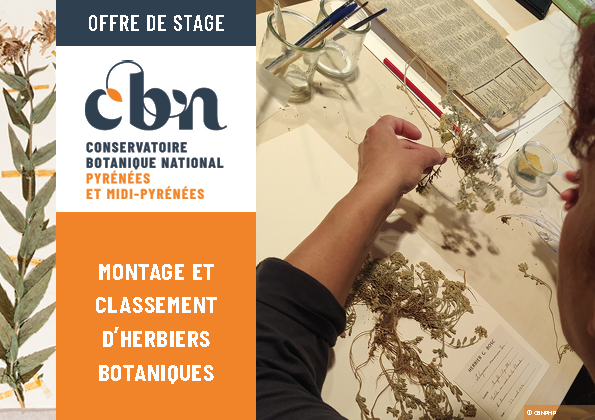 Stage 2022 - Classement systématique, référencement et numérisation d’un herbier botanique du CBN des Pyrénées