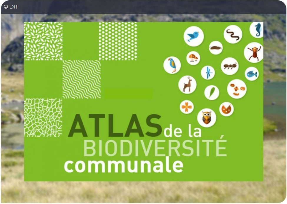 Lancement de l’appel à projets 2022 dédié aux Atlas de la biodiversité communale (ABC)