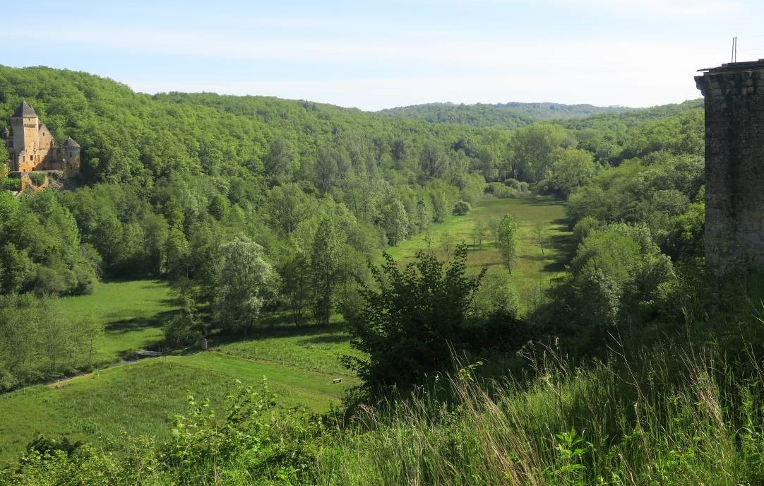 Typologie des végétations et habitats naturels des vallées des Beunes (Dordogne)