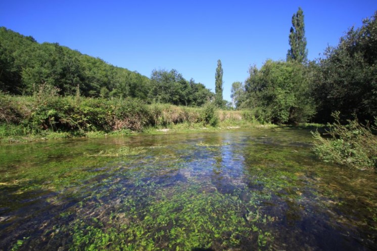 Etude des herbiers aquatiques de Nouvelle-Aquitaine - Comité technique le 13 juin 2022