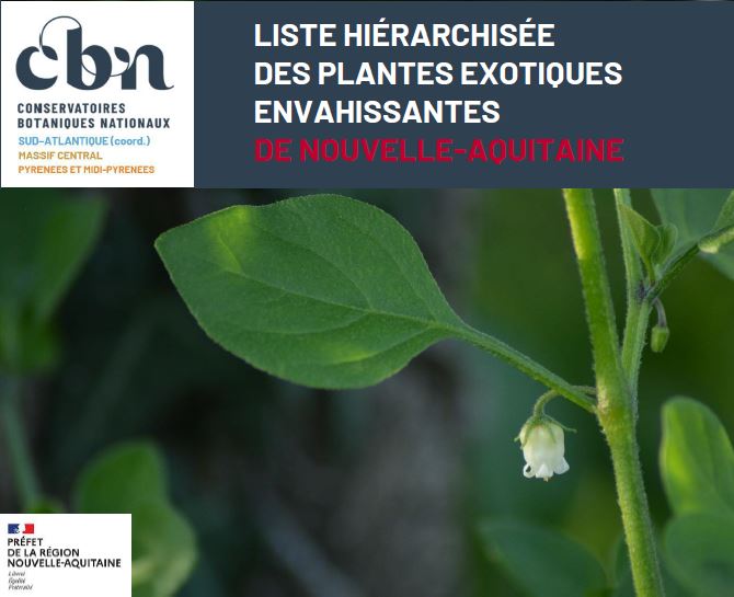Parution de la liste hiérarchisée des plantes exotiques envahissantes de Nouvelle-Aquitaine