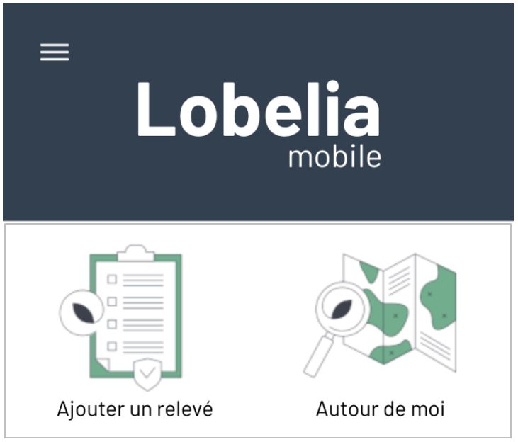 Lobelia se dote d'une application mobile pour la flore !