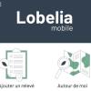 Lobelia mobile.JPG