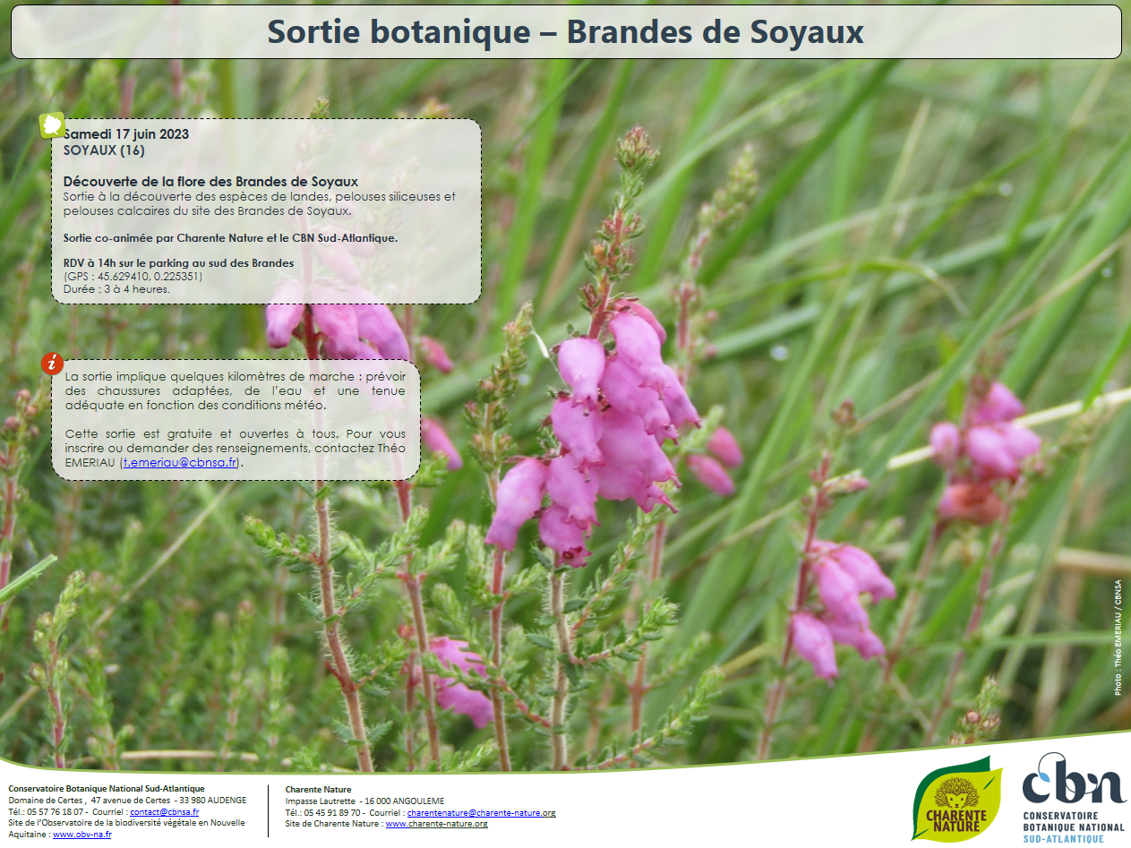 Sortie botanique - Brandes de Soyaux (16)