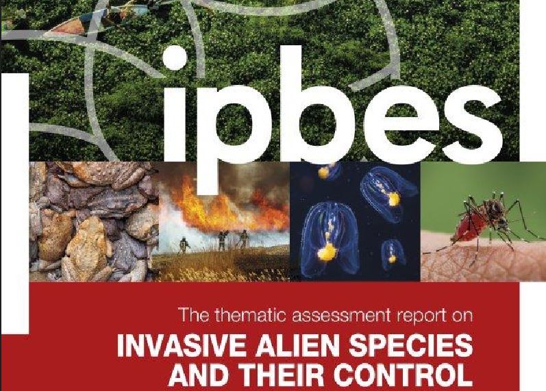 L'IPBES publie son rapport d'évaluation sur les EEE