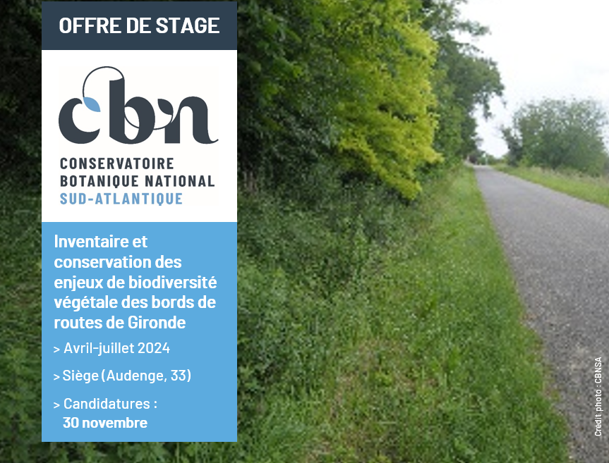Stage 2024 - Inventaire et conservation des enjeux de biodiversité végétale des bords de routes de Gironde