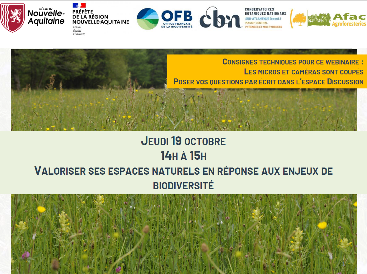 Webinaire du 19 octobre sur la végétalisation : enjeux de biodiversité pour les propriétaires et gestionnaires de grand foncier