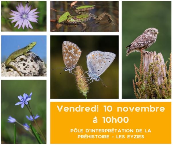 Réunion publique de restitution de l’Atlas de la Biodiversité de la Communauté de Communes de la Vallée de l'Homme (CCVH) le 10 novembre 2023