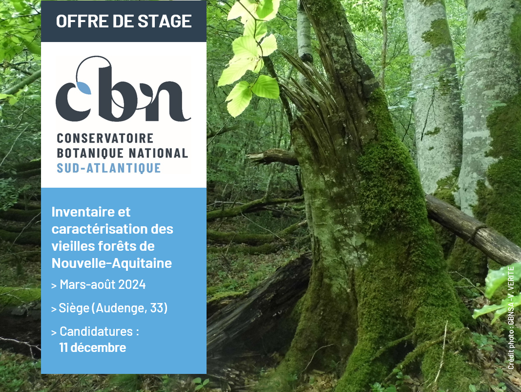 Stage 2024 - Inventaire et caractérisation des vieilles forêts de Nouvelle-Aquitaine