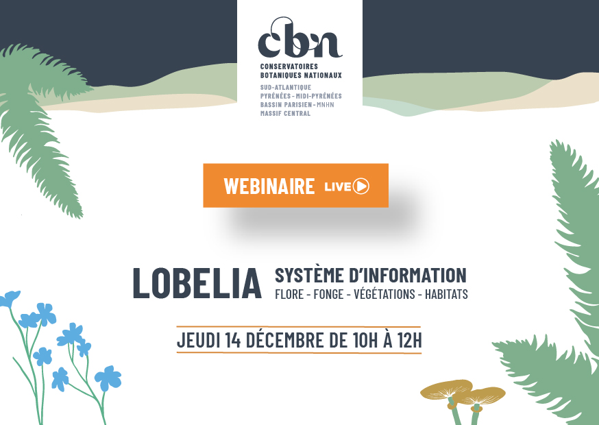 Webinaire de présentation de Lobelia le jeudi 14 décembre 2023 de 10h à 12h