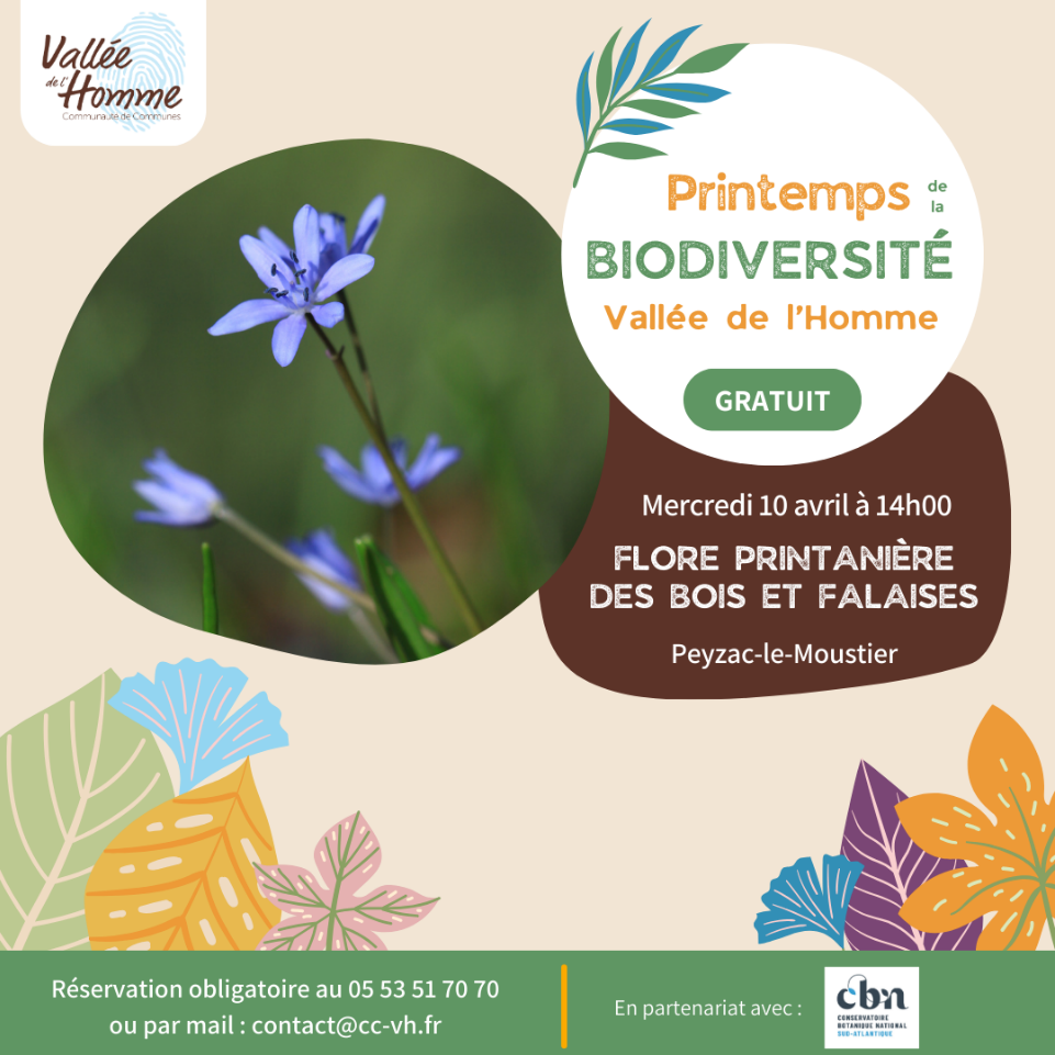 Sortie botanique à Peyzac-le-Moustier (Dordogne) le mercredi 10 avril à 14h