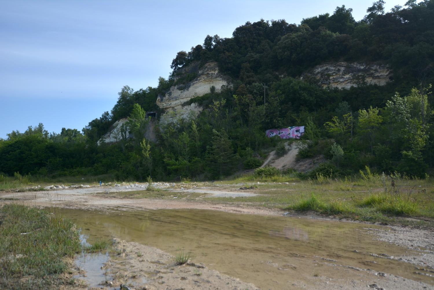 Sortie botanique le samedi 7 septembre sur les coteaux de Lormont (33)