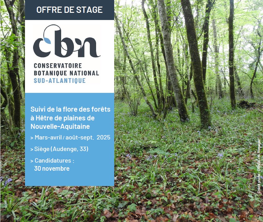 Offre stage 2025_Suivi forets a Hetre.jpg