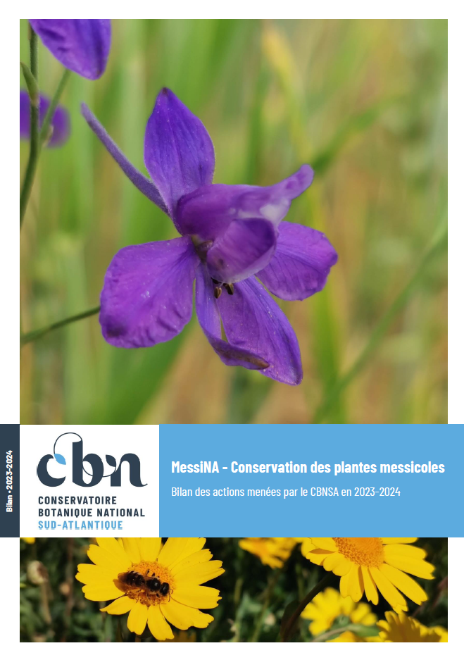 Préserver les plantes messicoles : les derniers résultats exposés