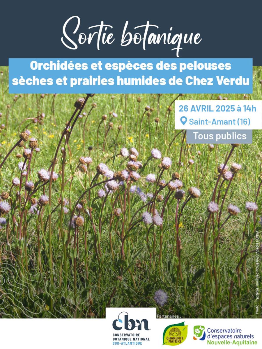 Sortie le 26 avril en Charente : Orchidées et flore des pelouses sèches et prairies humides de Chez Verdu
