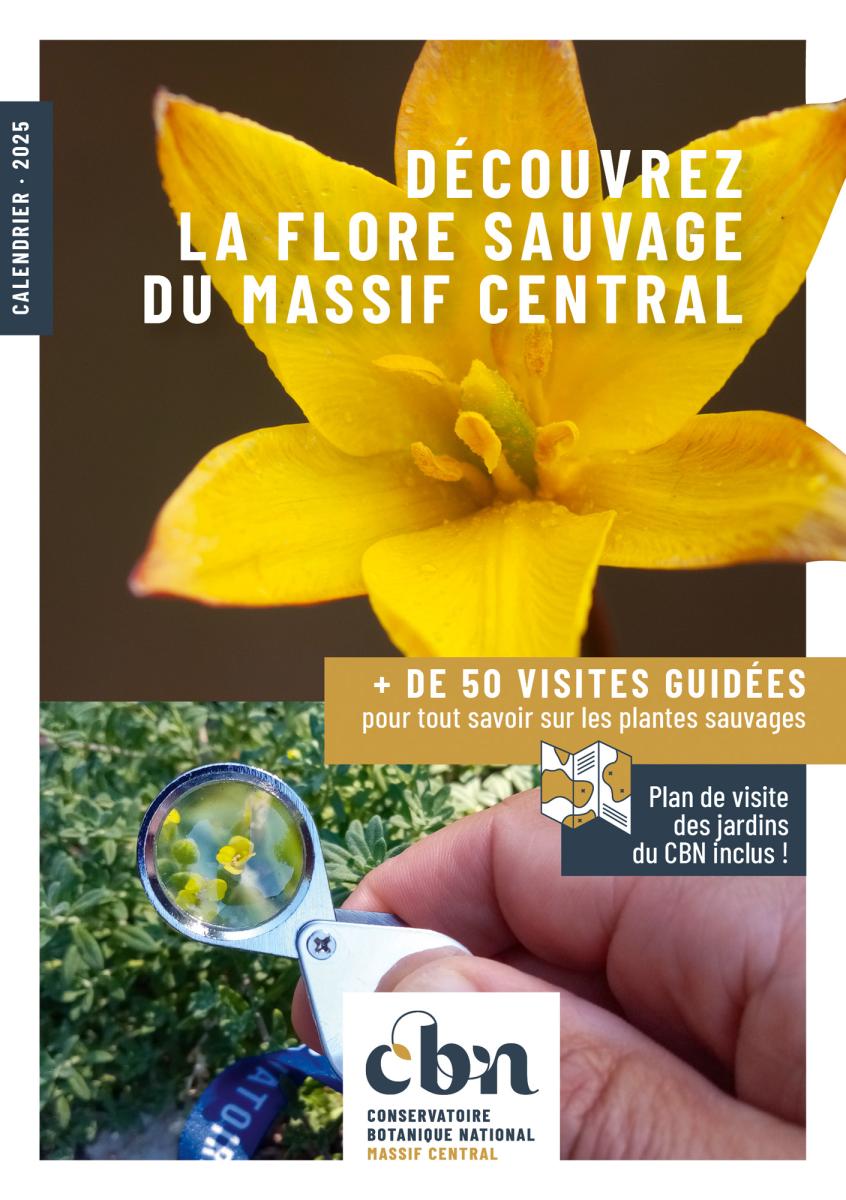 50 animations pour découvrir et comprendre la flore du Massif central