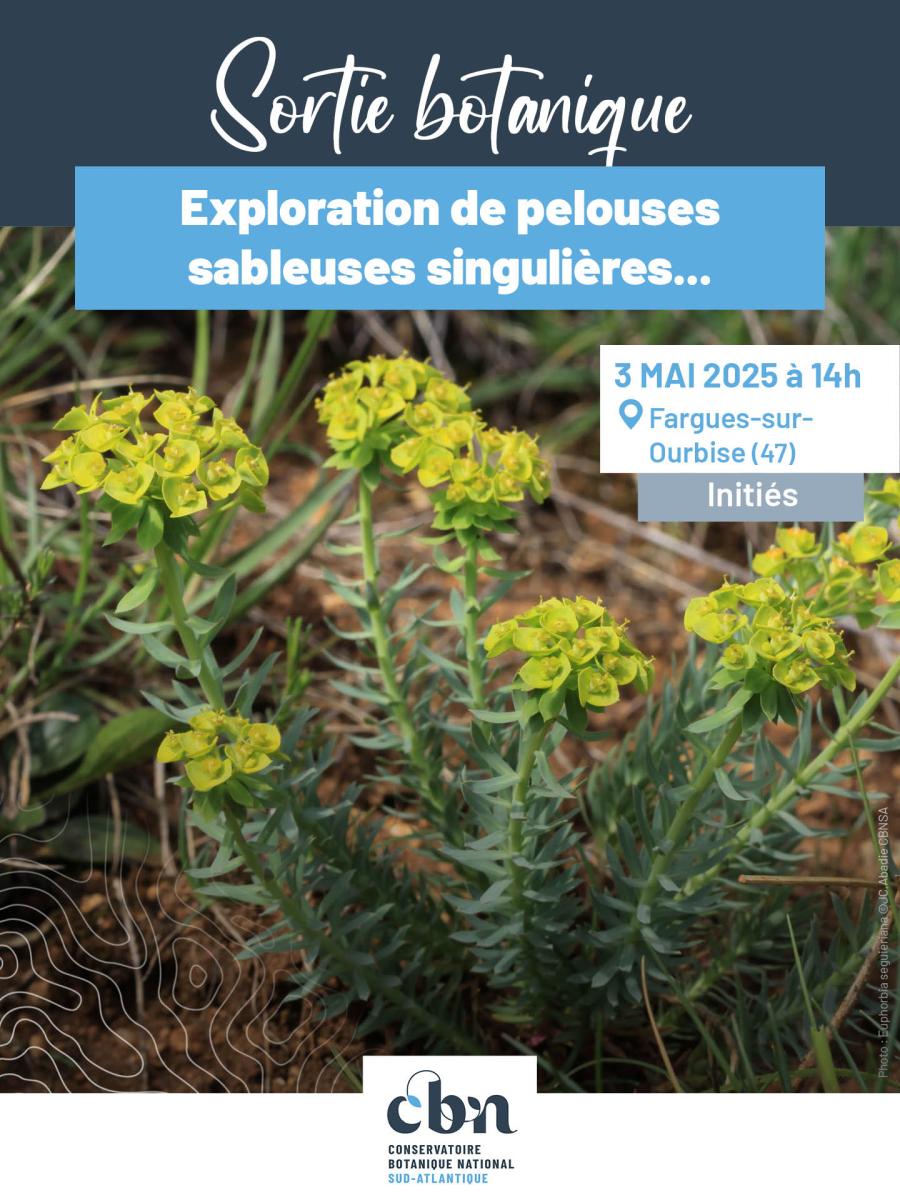 Sortie le 03 mai en Lot-et-Garonne : exploration des pelouses sableuses autour de Fargues-sur-Ourbise