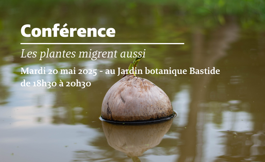 Migration JBB.png