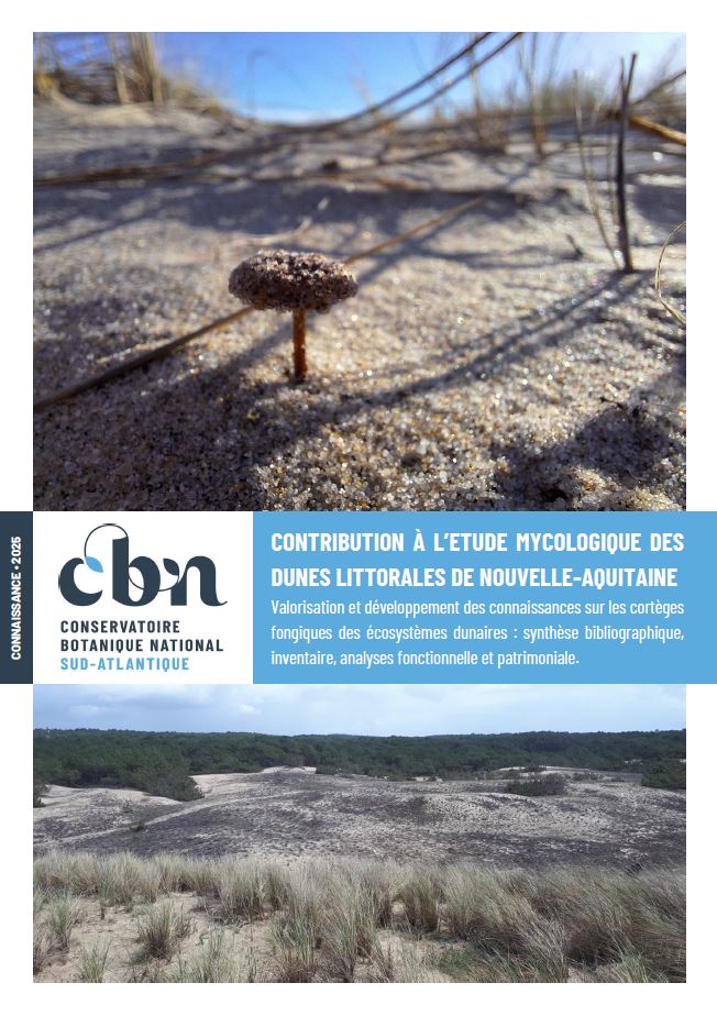 CBNSA 2025 - Champignons dunes NA.JPG